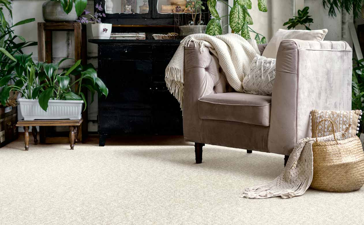 Living room with a velvet brown chair and beige carpet
